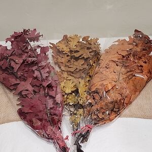 Vibrant Autumn Leaf Trio